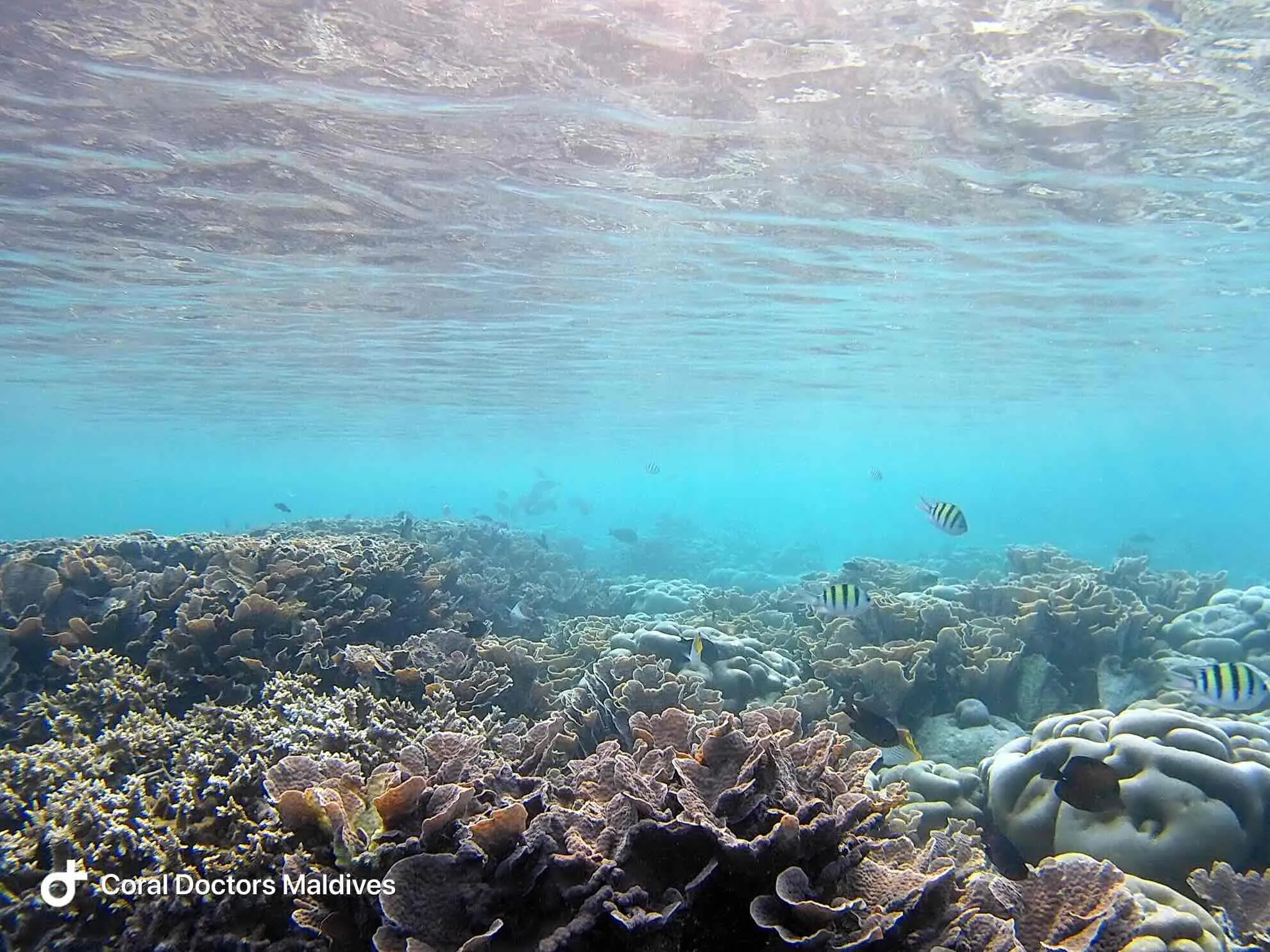 Addu Atoll, Malediven
