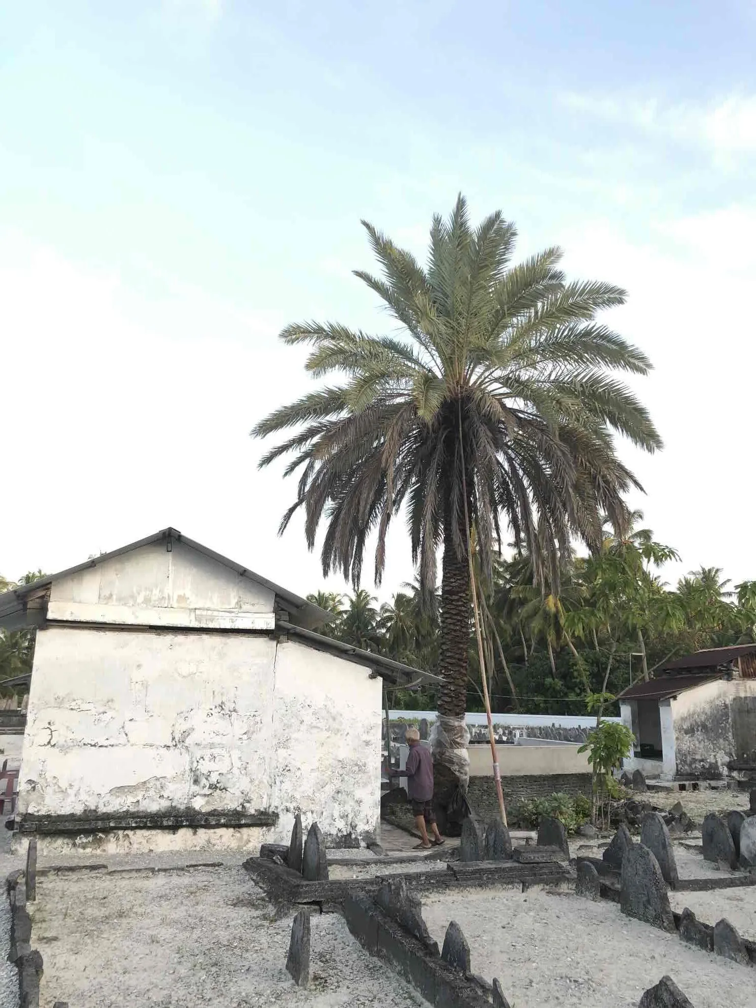 Hulhumeedhoo, Malediven