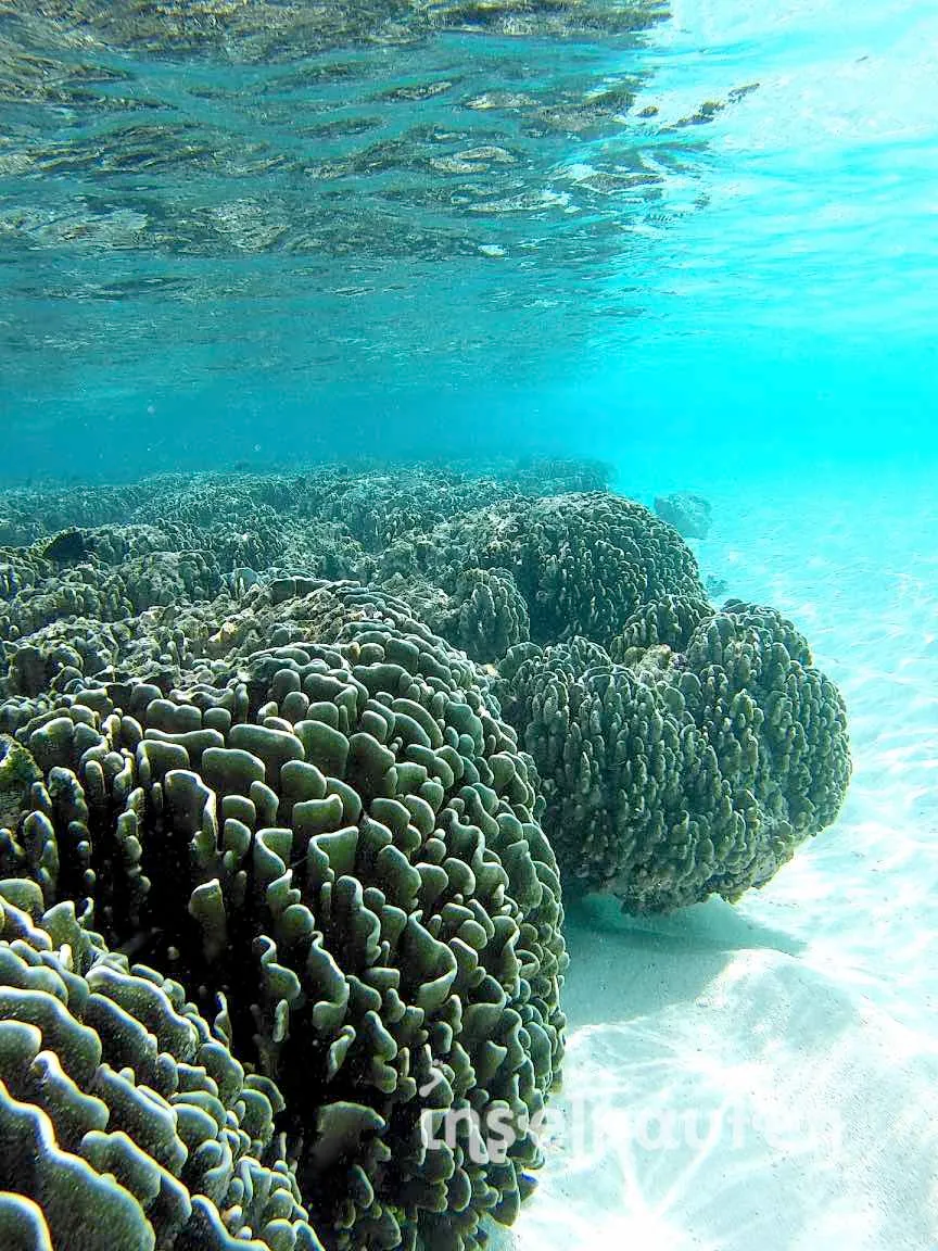 Kihaadhoo, Malediven