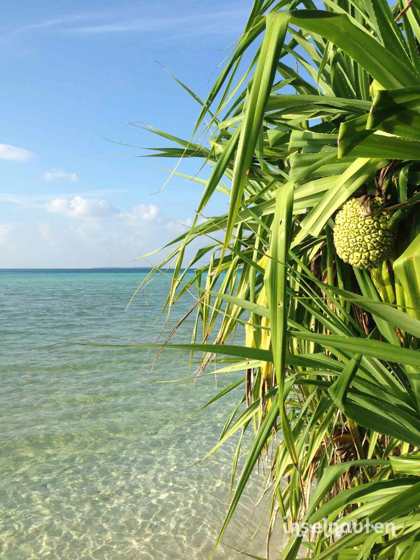Himandhoo, Malediven