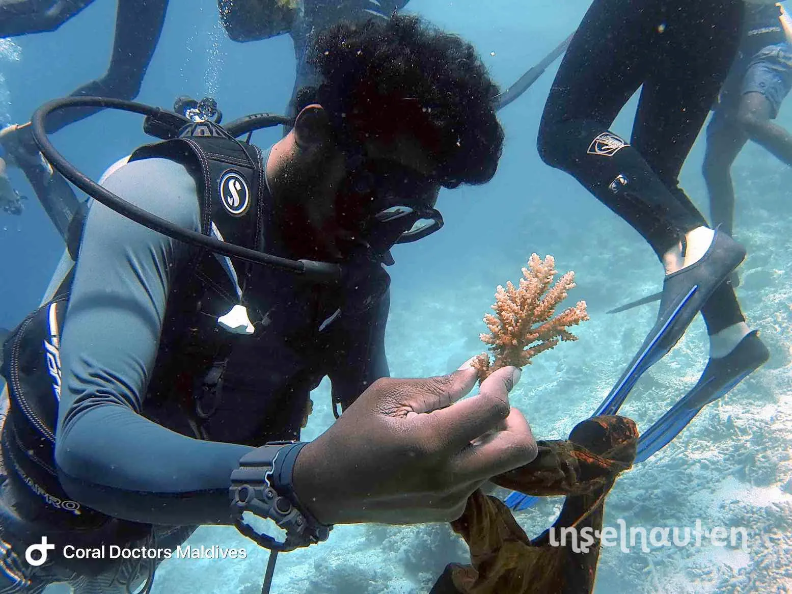 Coral Doctors, Malediven