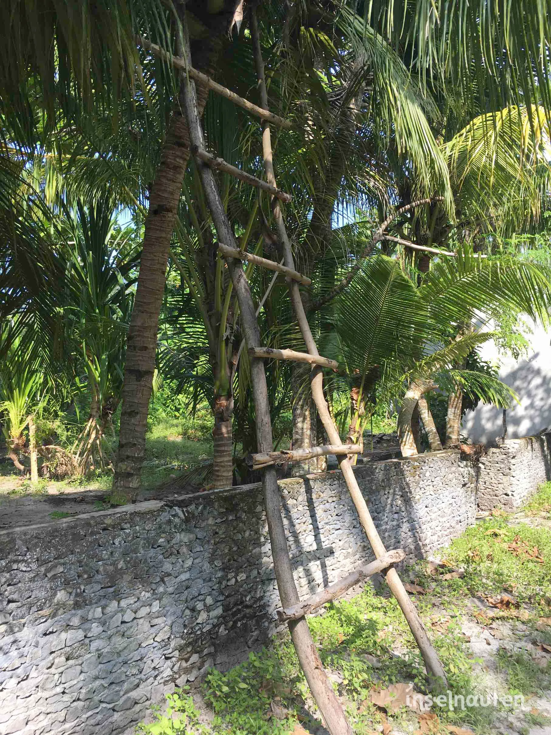 Feridhoo, Malediven
