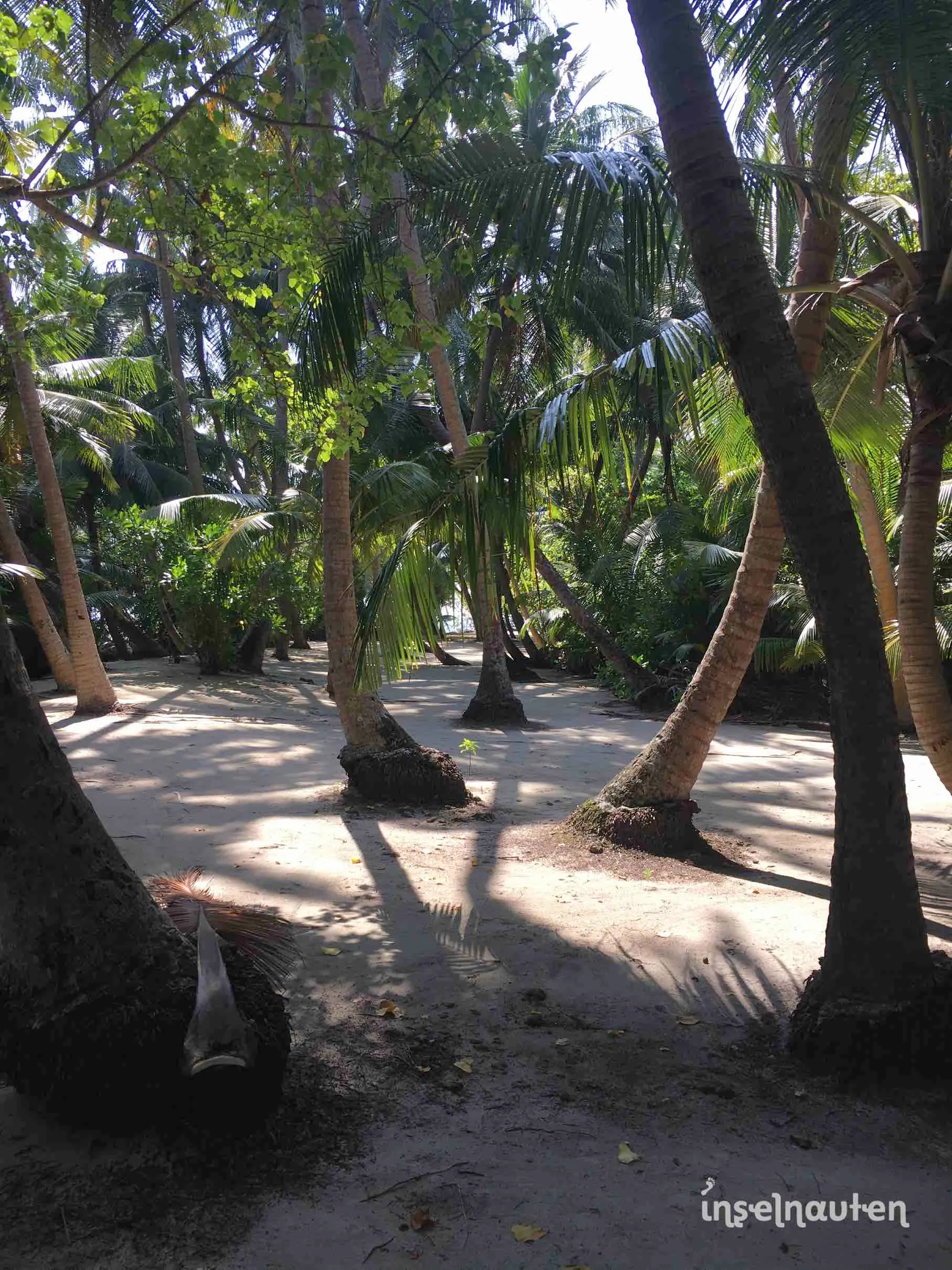 Felidhoo, Malediven