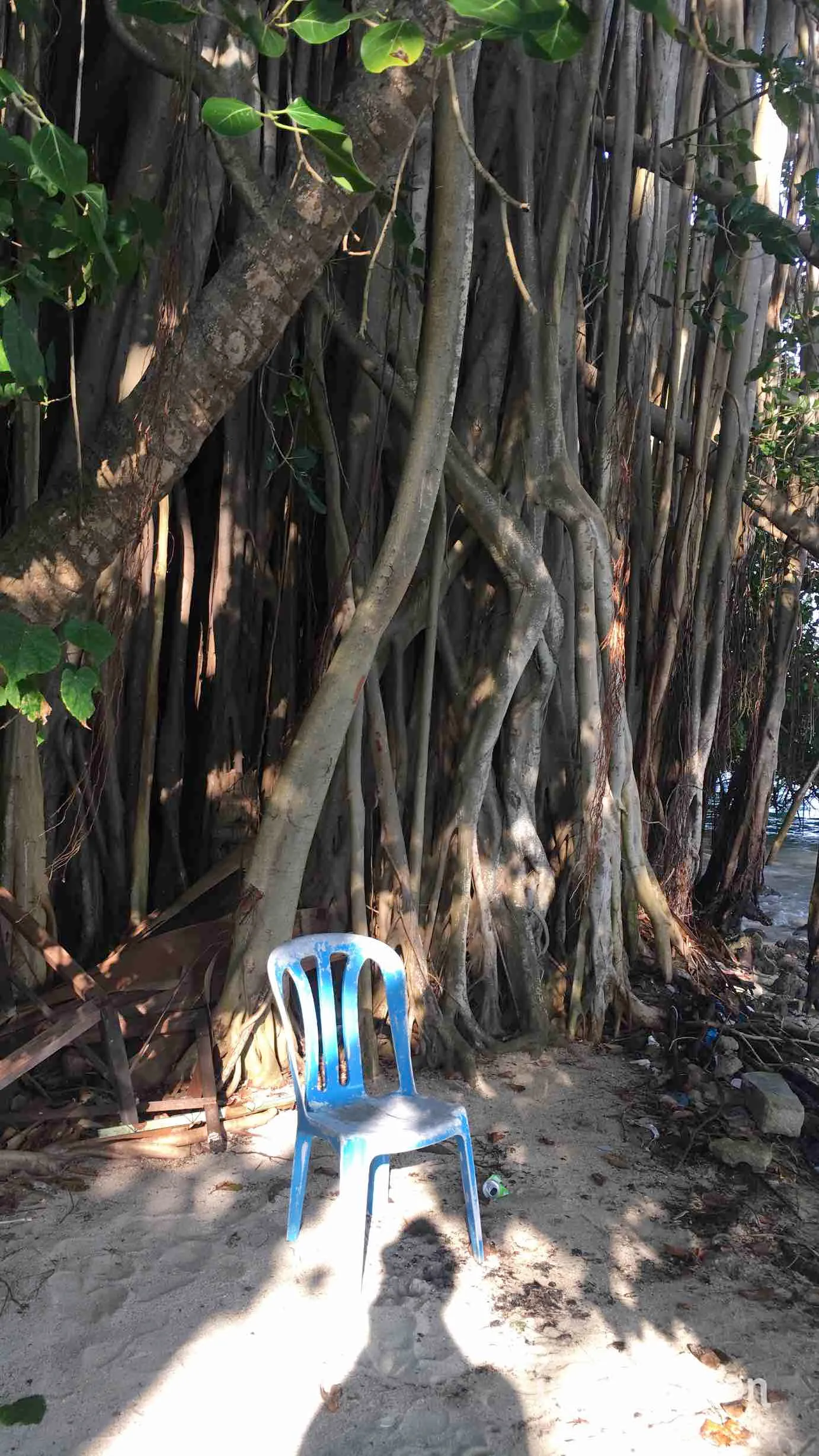 Keyodhoo, Malediven