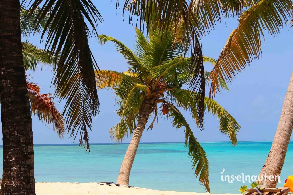 Palmenstrand mit türkiser Lagune auf den Malediven