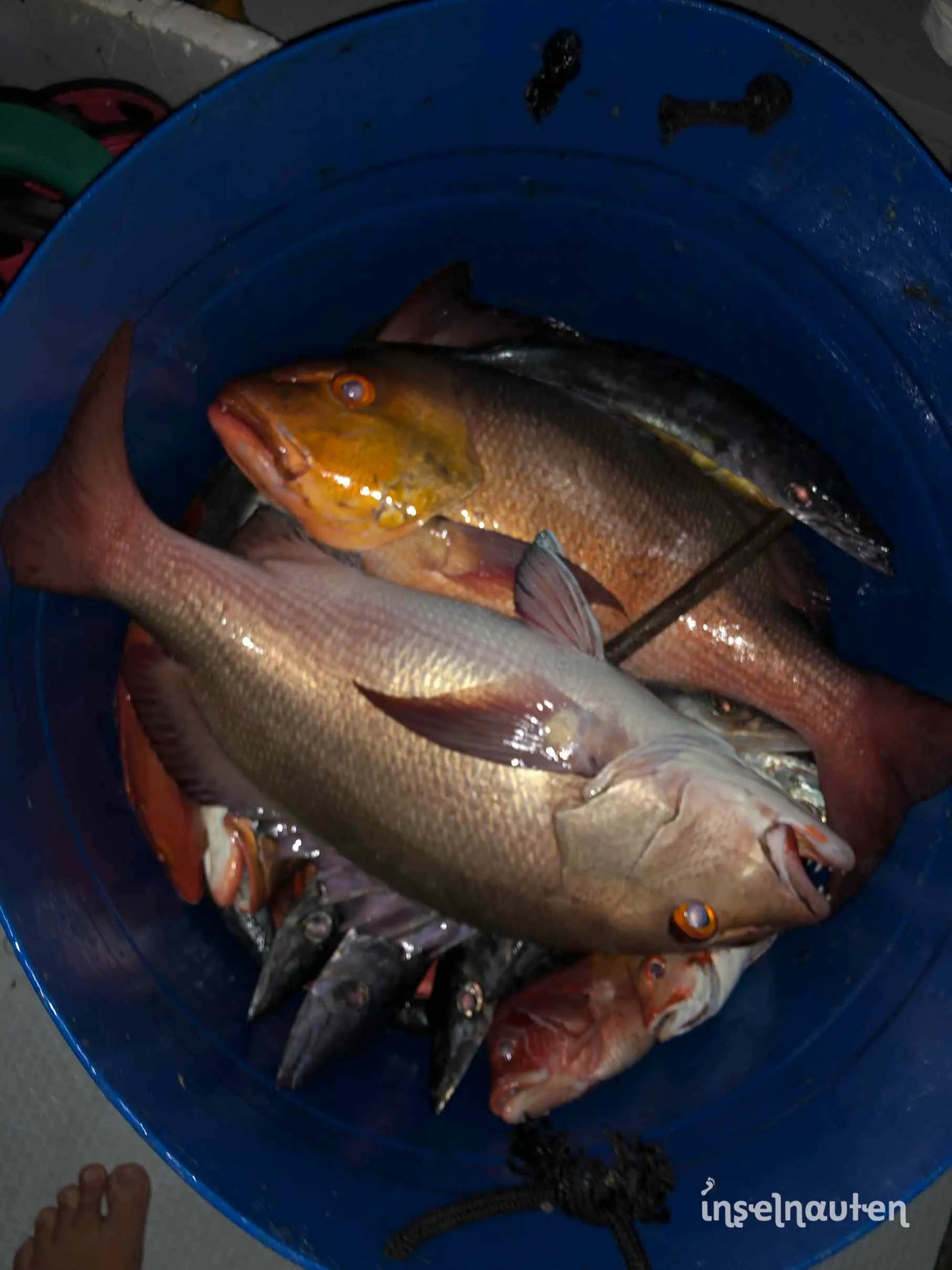 Thulhaadhoo, Malediven