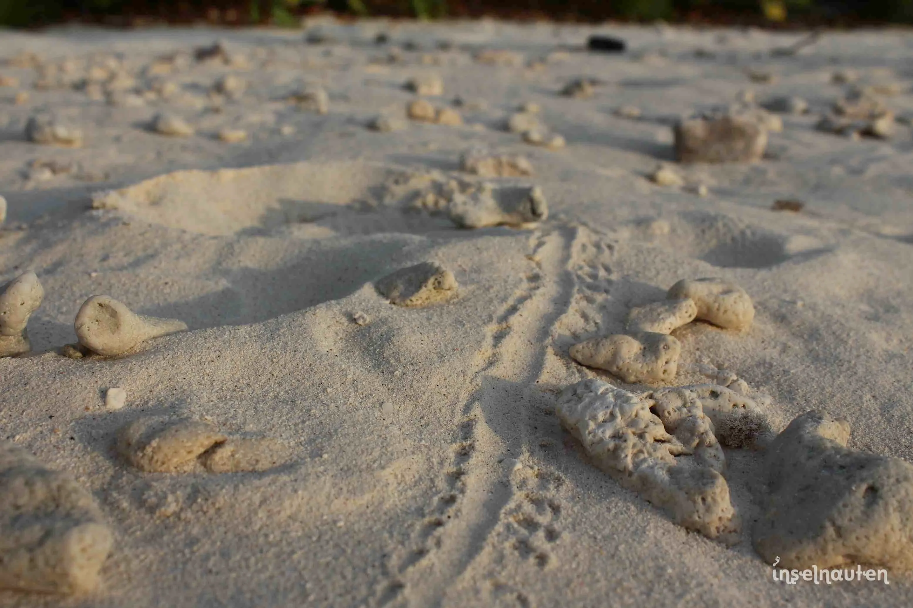 Dhigurah, Malediven