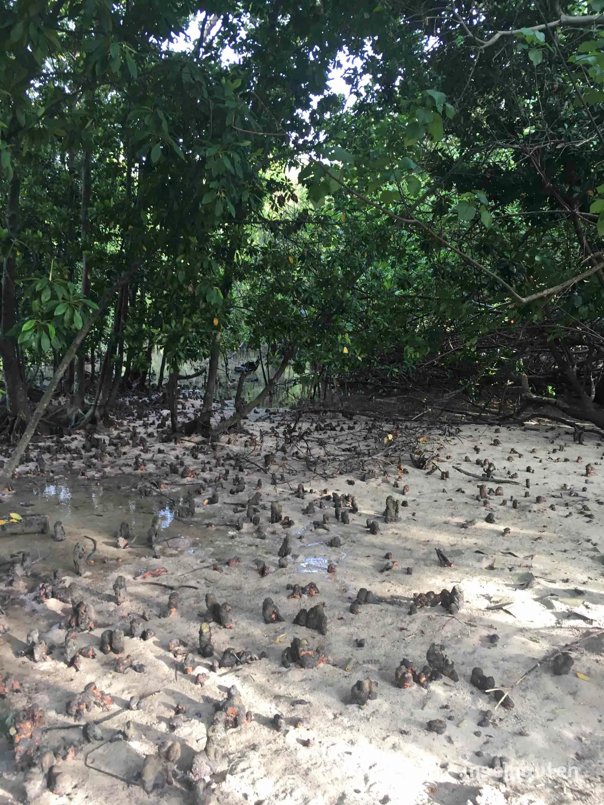 Huraa, Malediven