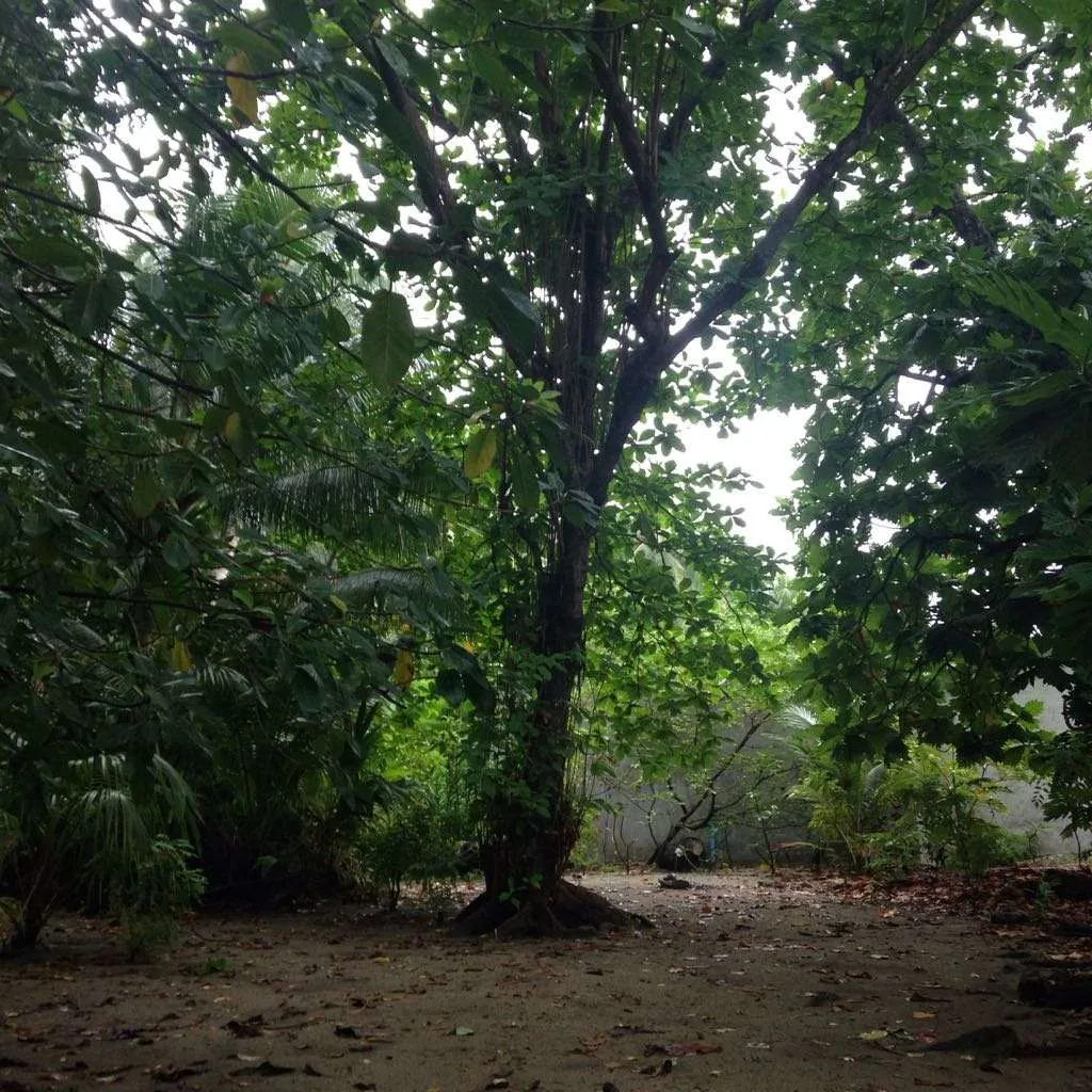 Goidhoo, Malediven