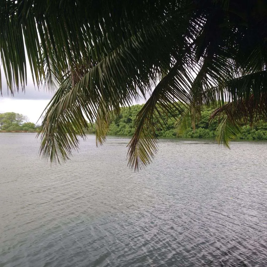 Goidhoo, Malediven