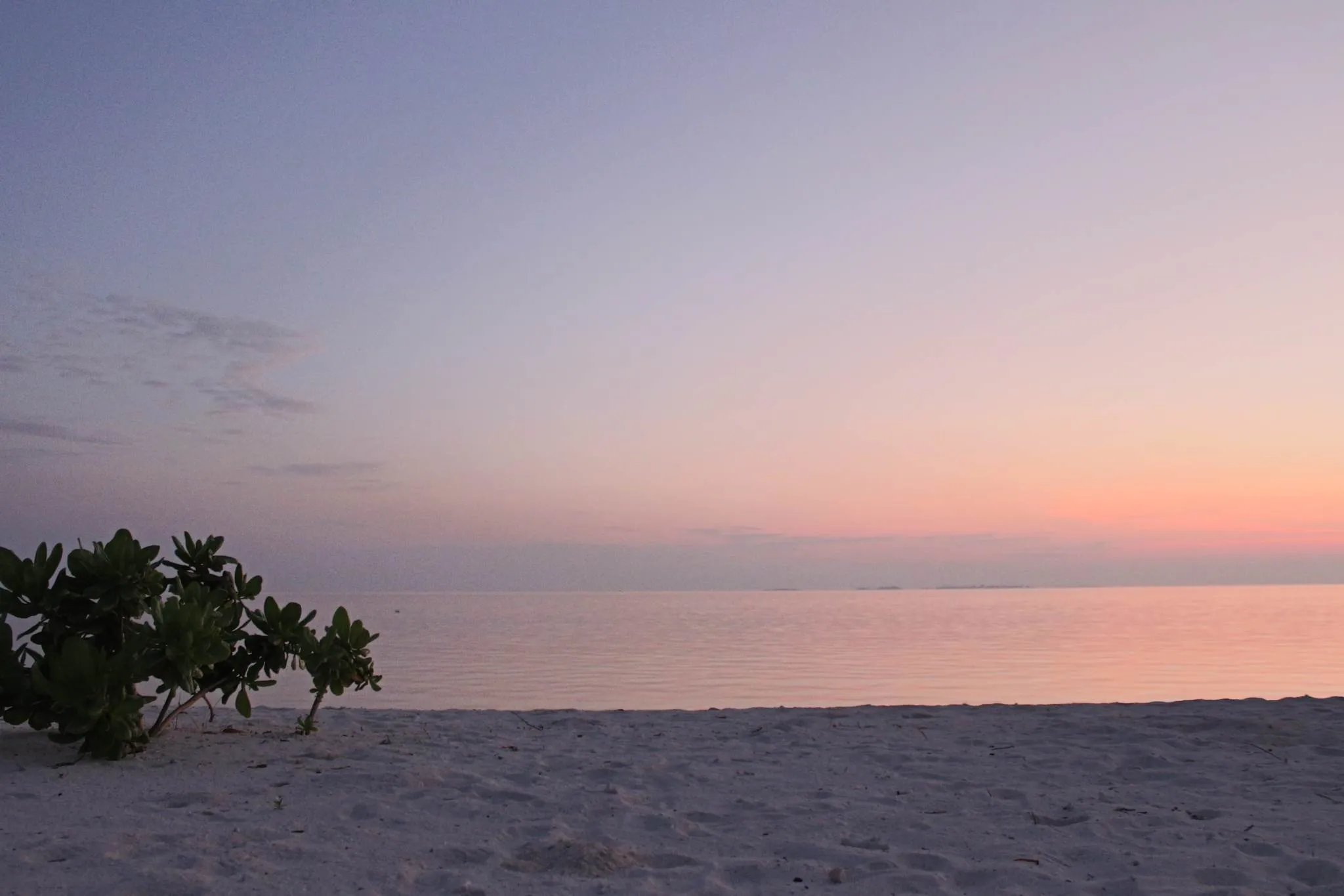 Dhiffushi, Malediven