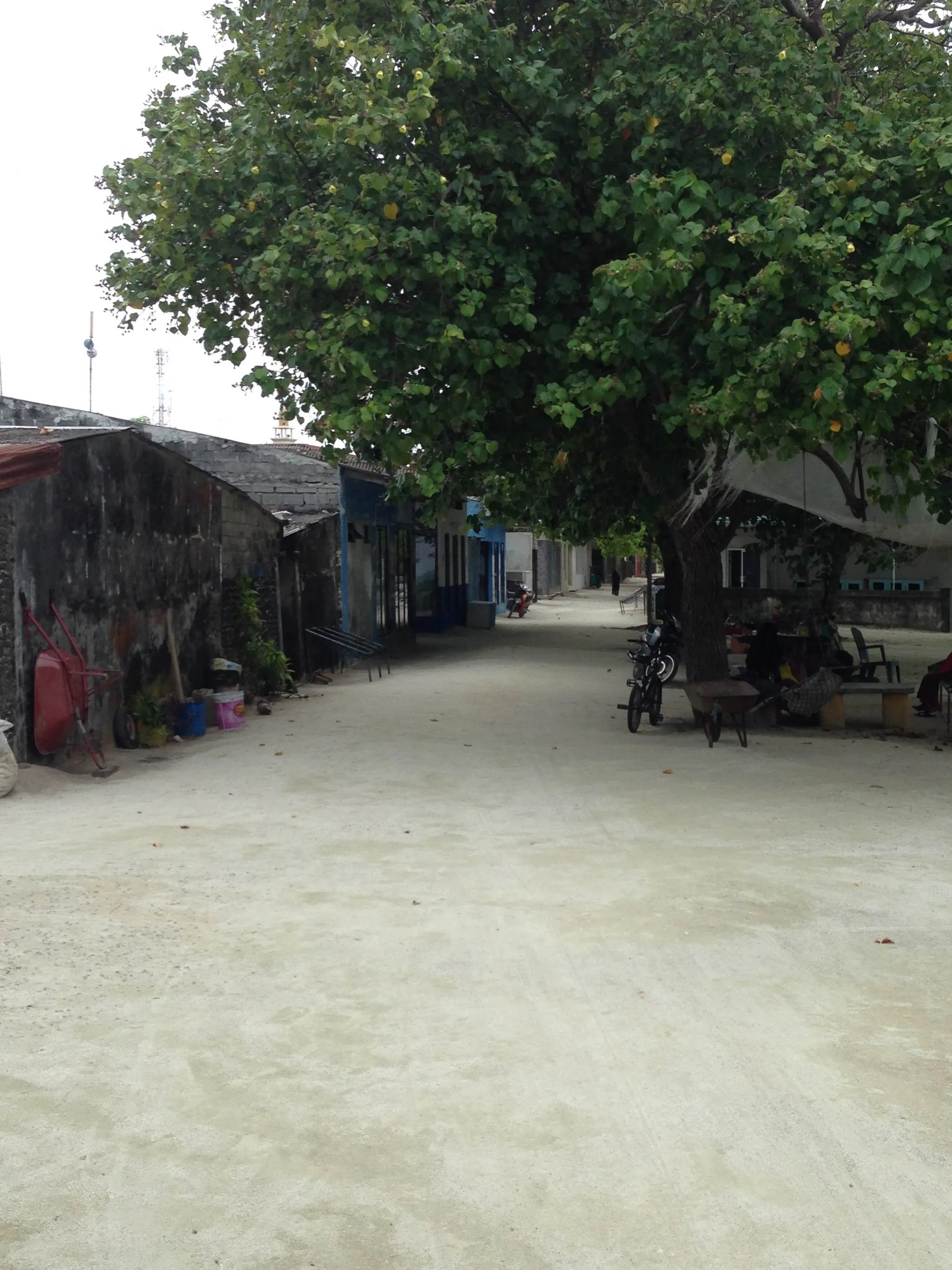 Dhiffushi, Malediven