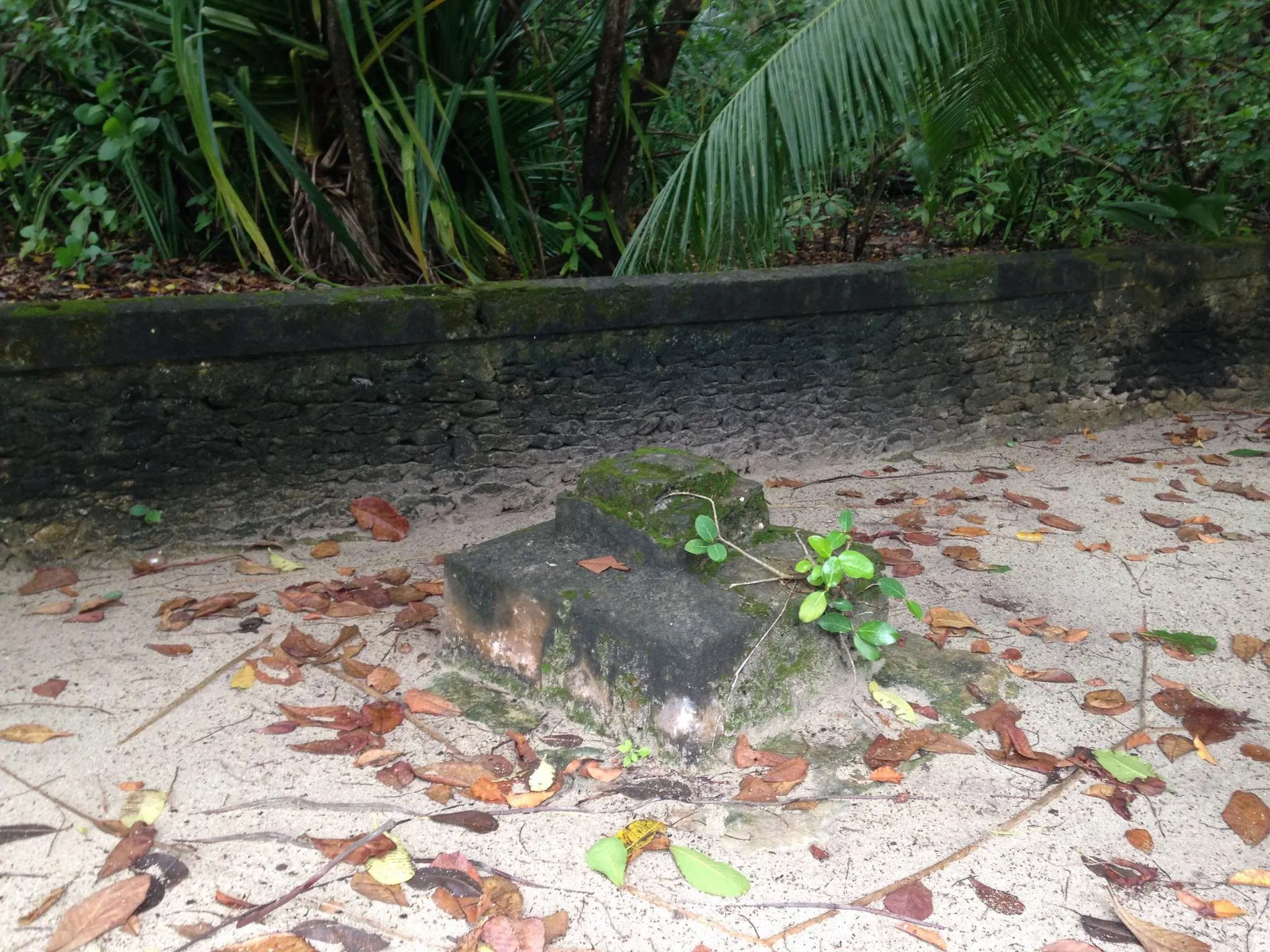 Goidhoo, Malediven