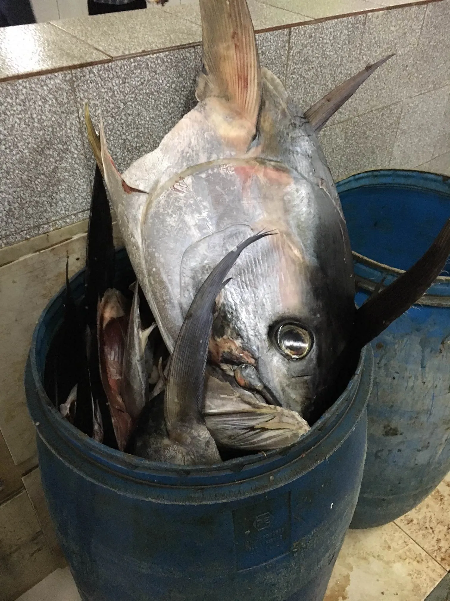 Malé, Malediven