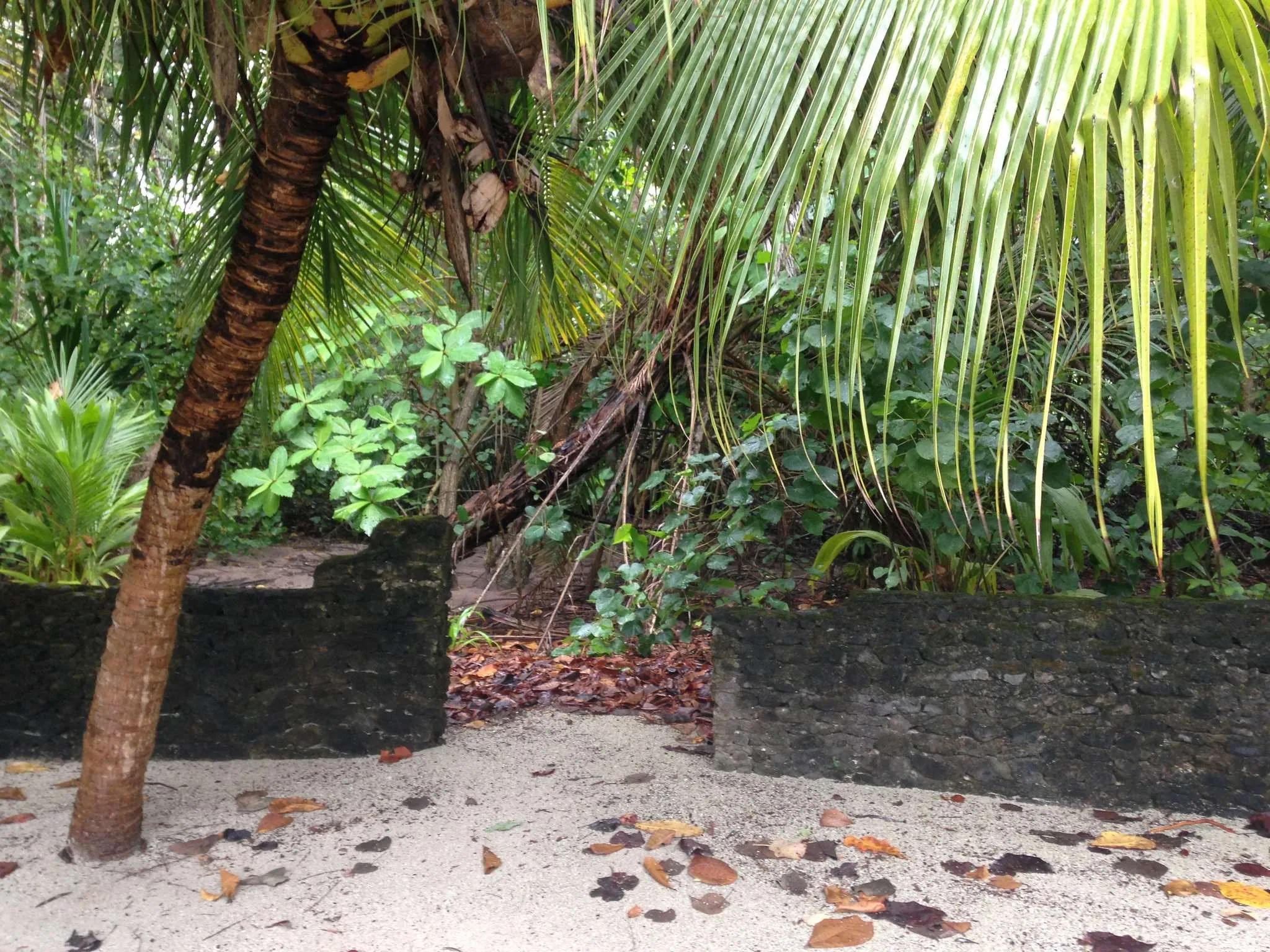 Goidhoo, Malediven