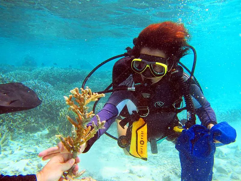 Taucherin begutachtet unter Wasser ein Korallenfragment beim Coral-Doctors-Projekt