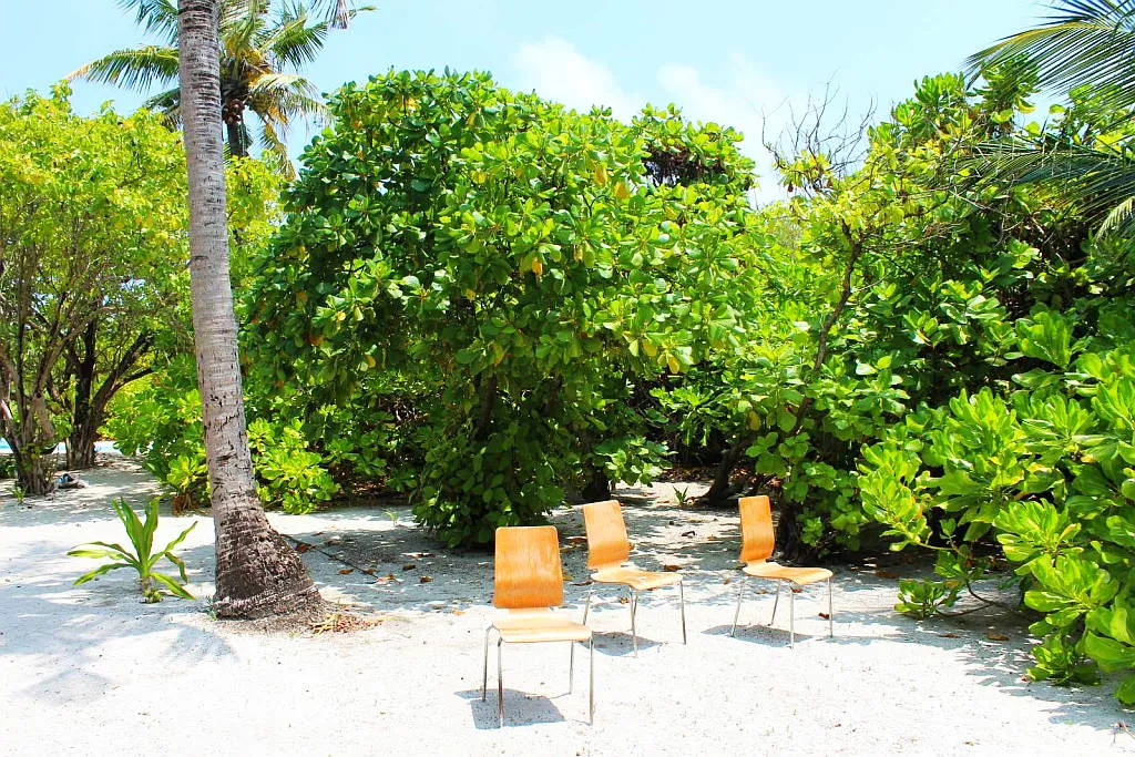 Co-working in Maldives - Office in Paradise