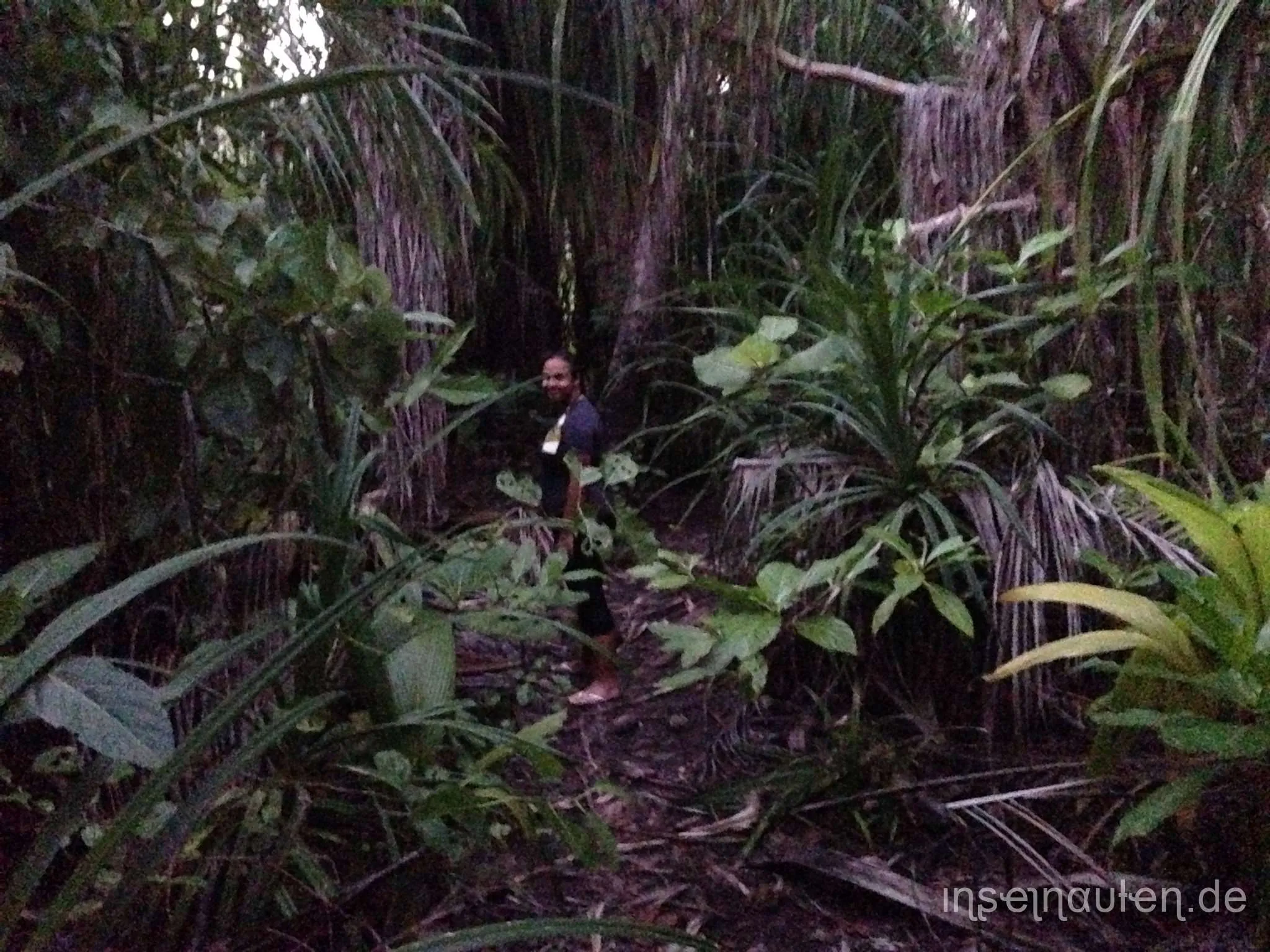 Goidhoo, Malediven