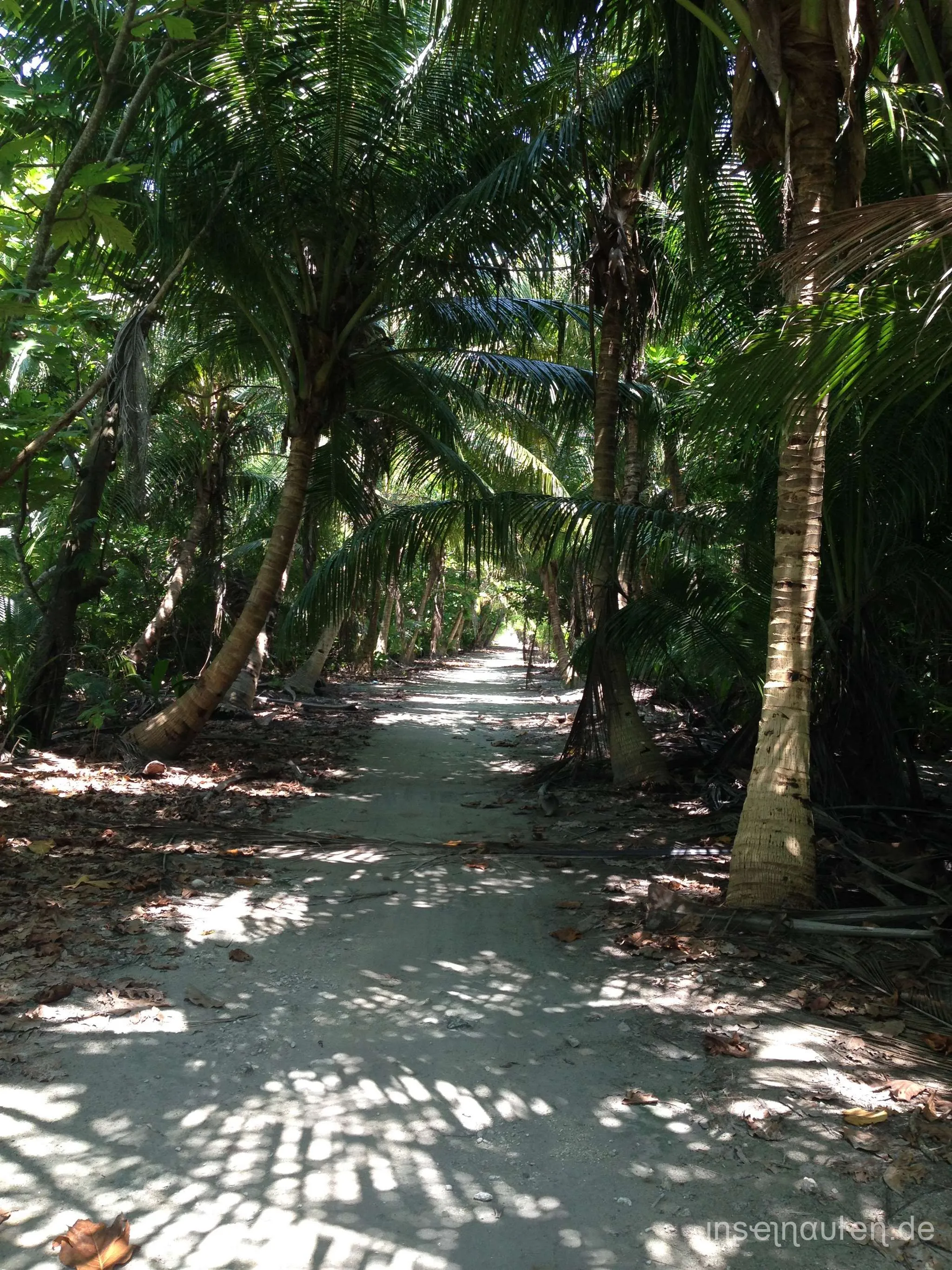 Goidhoo, Malediven