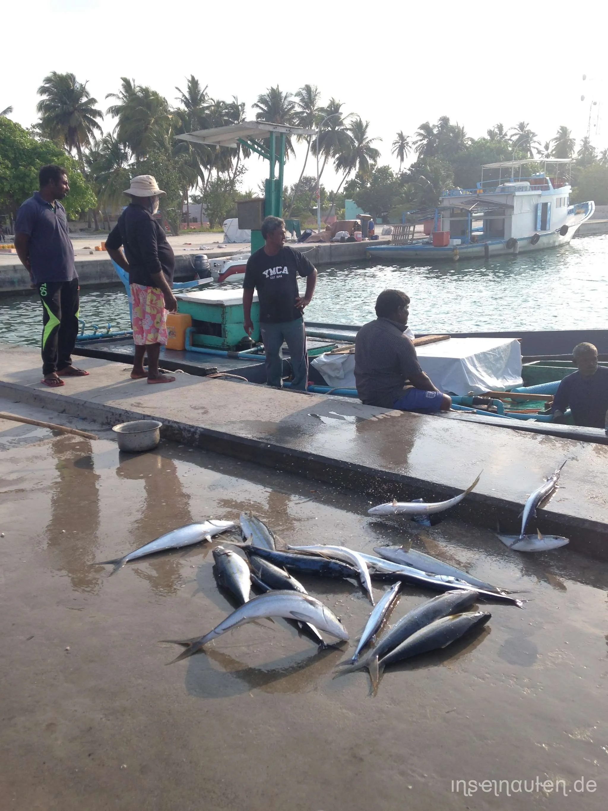 Goidhoo, Malediven