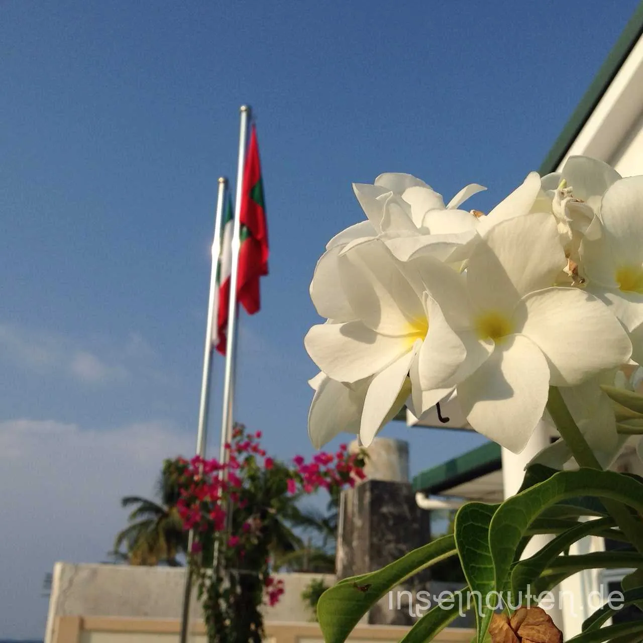 Dharavandhoo, Malediven
