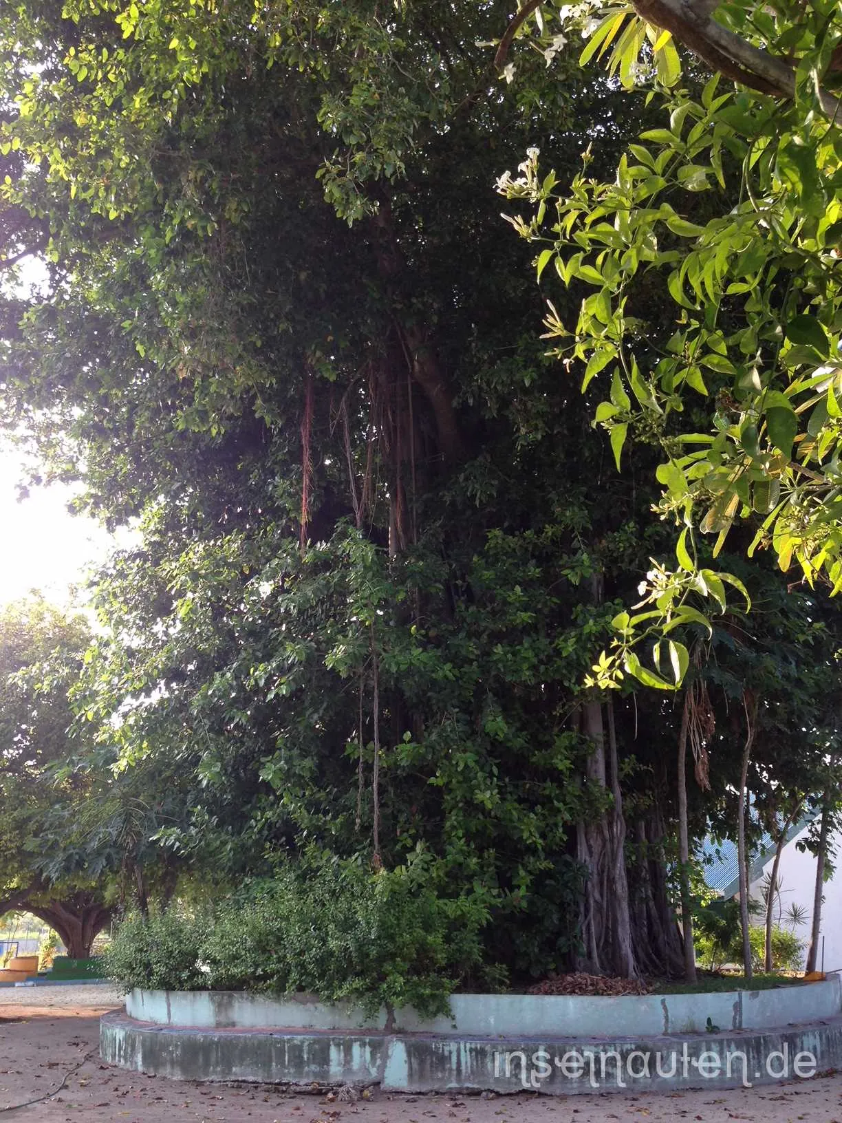 Dharavandhoo, Malediven