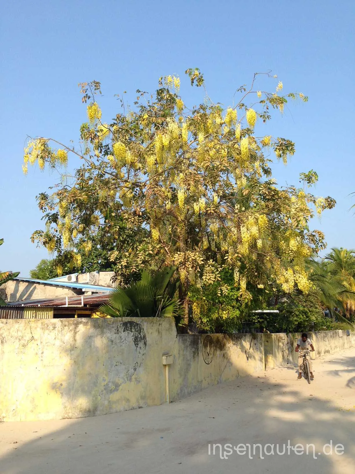 Dharavandhoo, Malediven