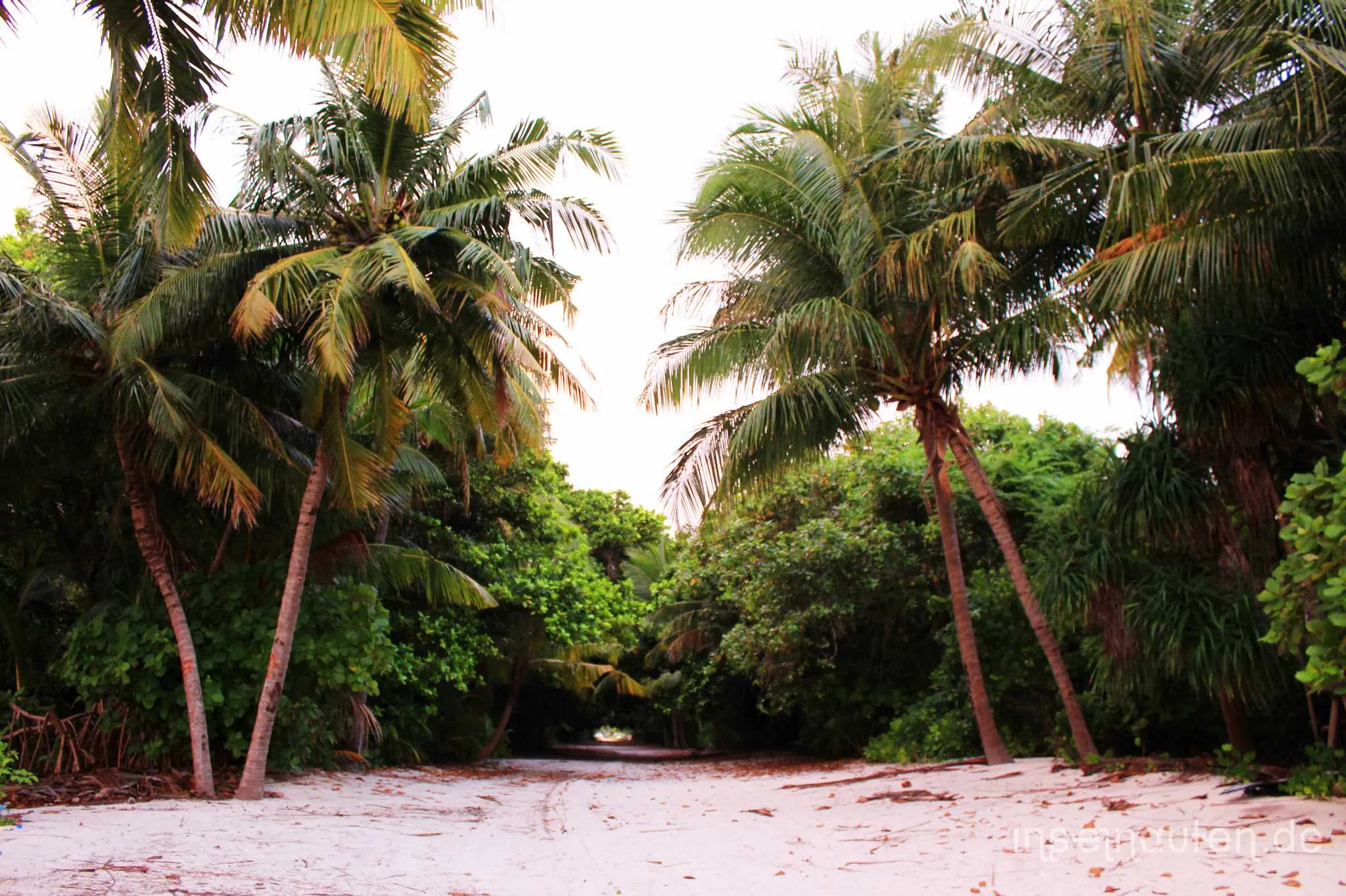 Dharavandhoo, Malediven