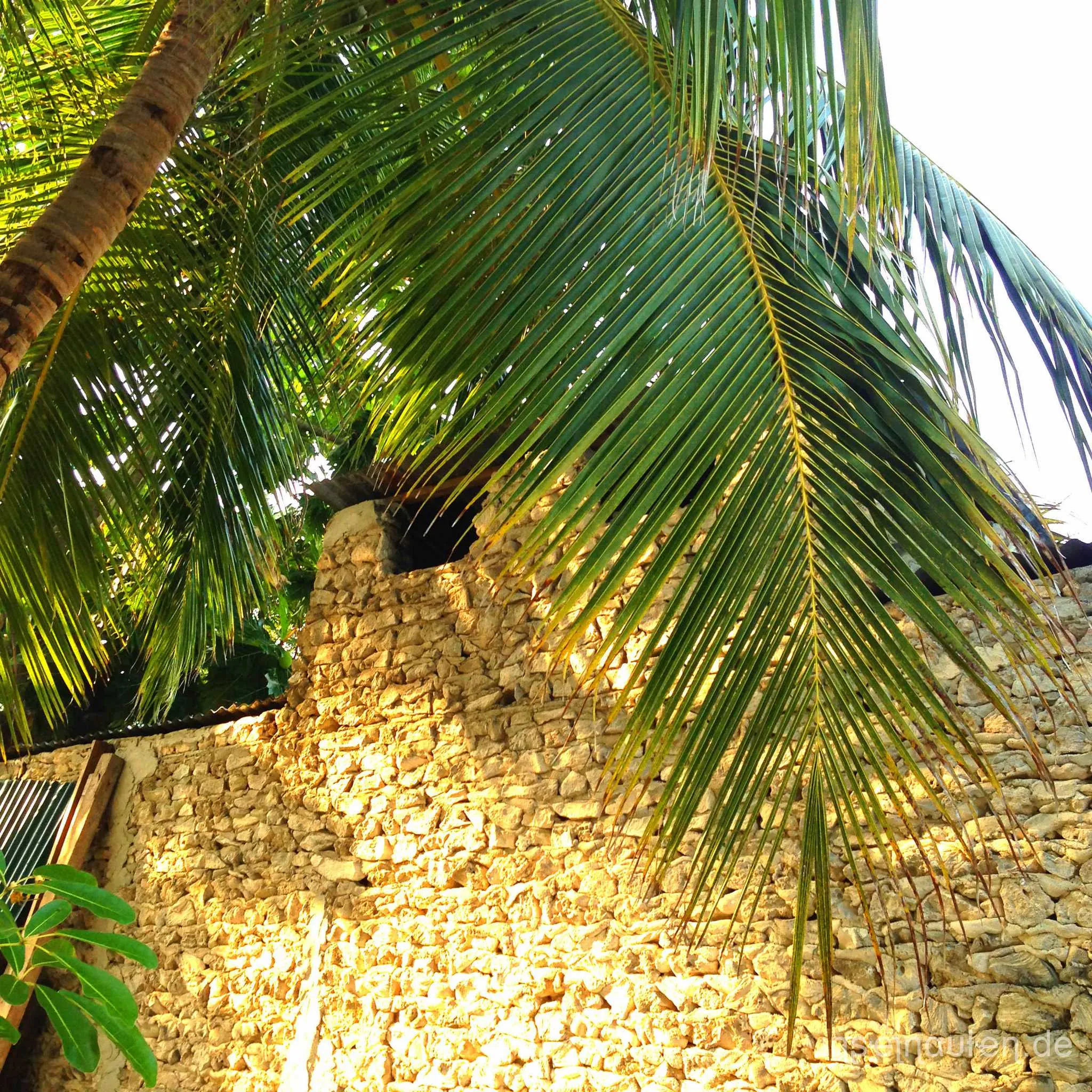 Dharavandhoo, Malediven