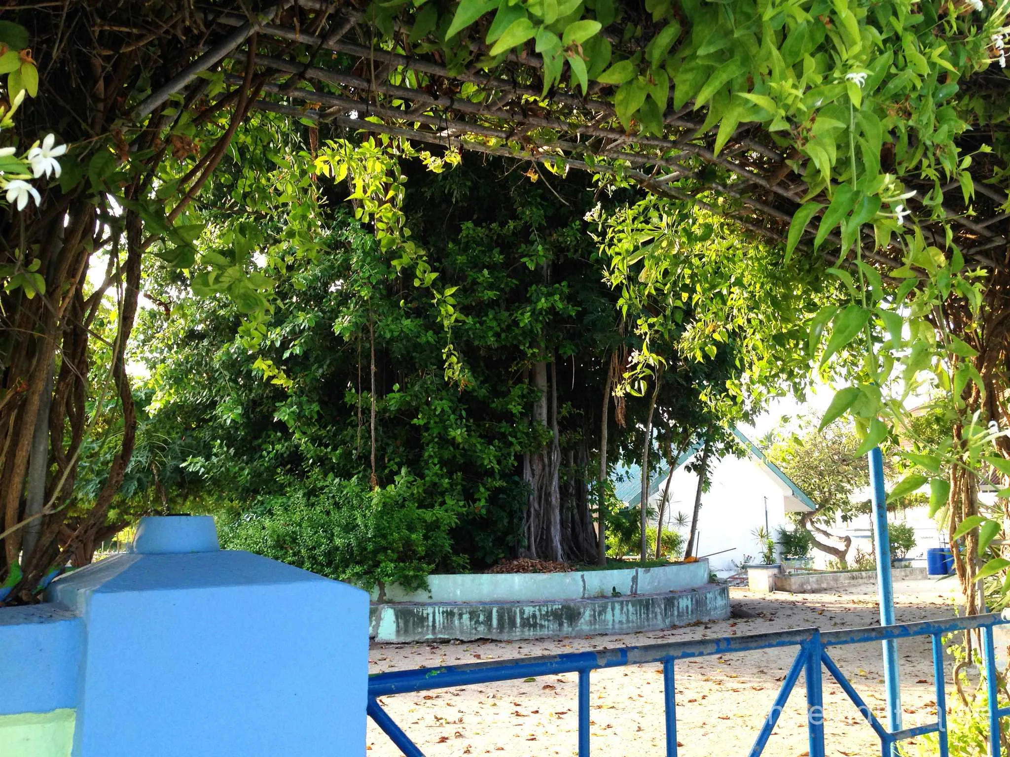 Dharavandhoo, Malediven
