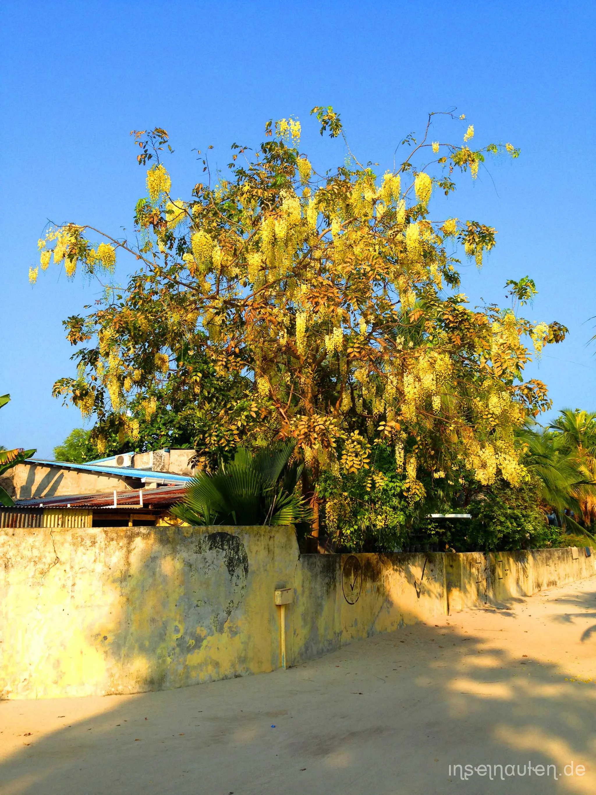 Dharavandhoo, Malediven
