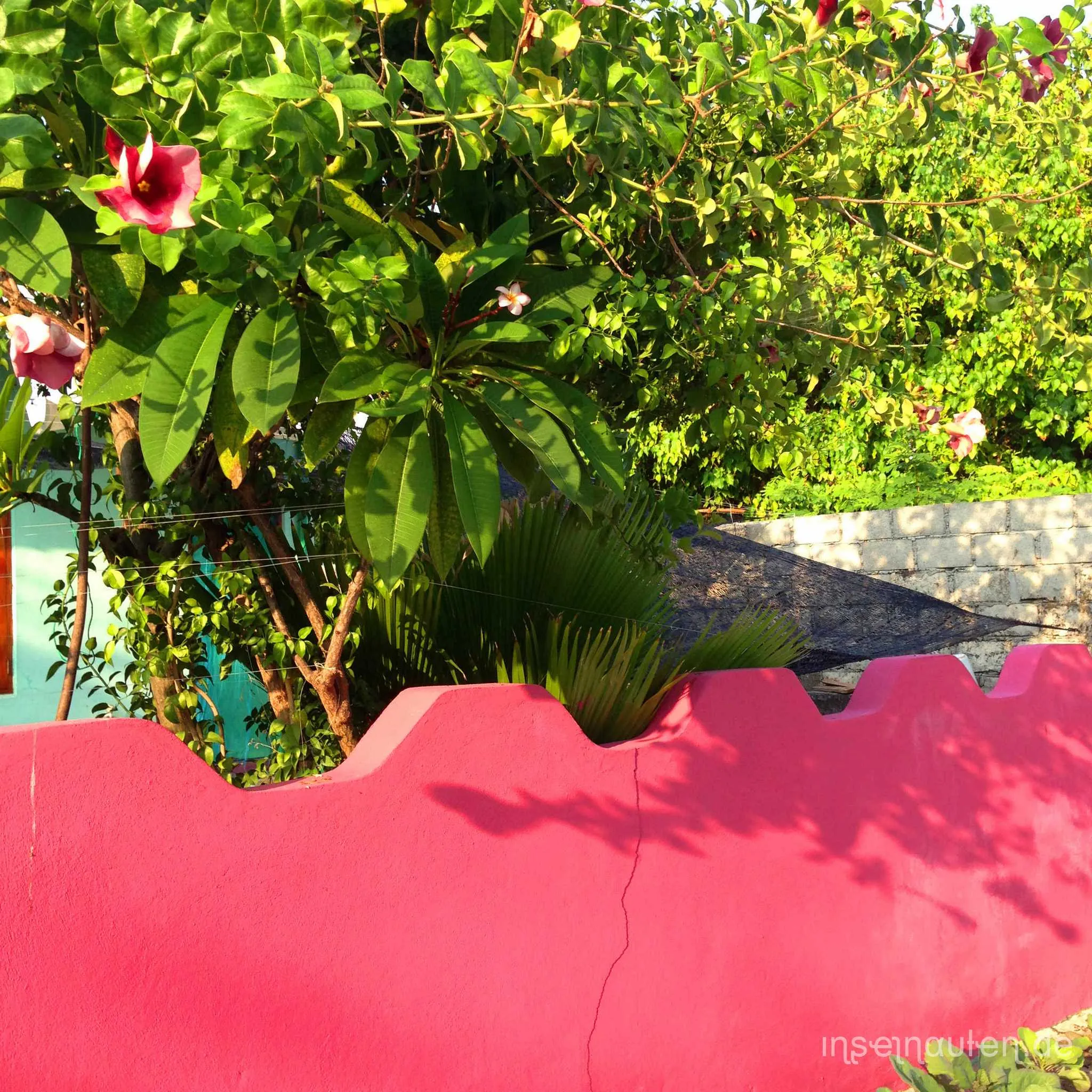 Dharavandhoo, Malediven