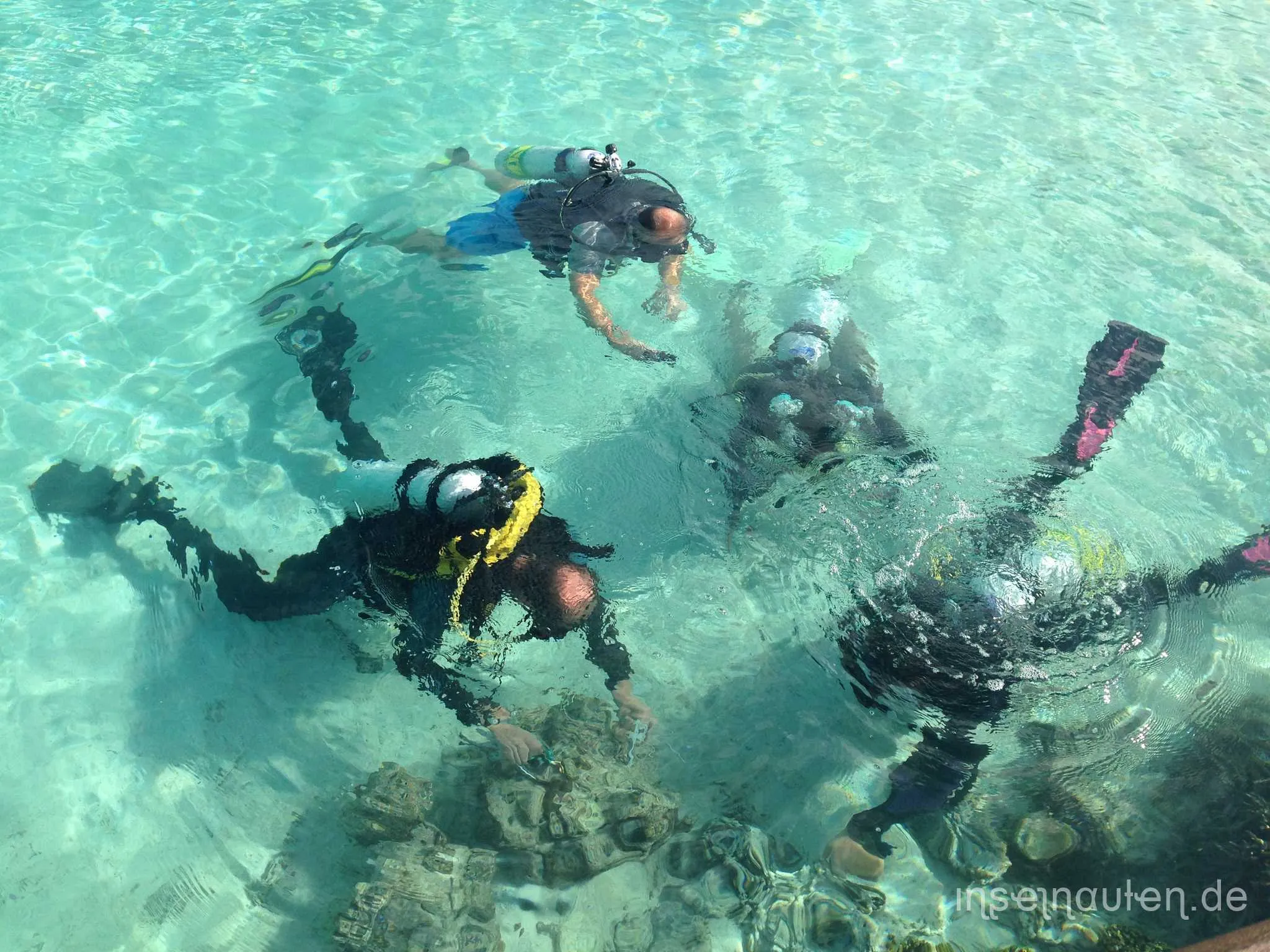 Coral Doctors, Malediven