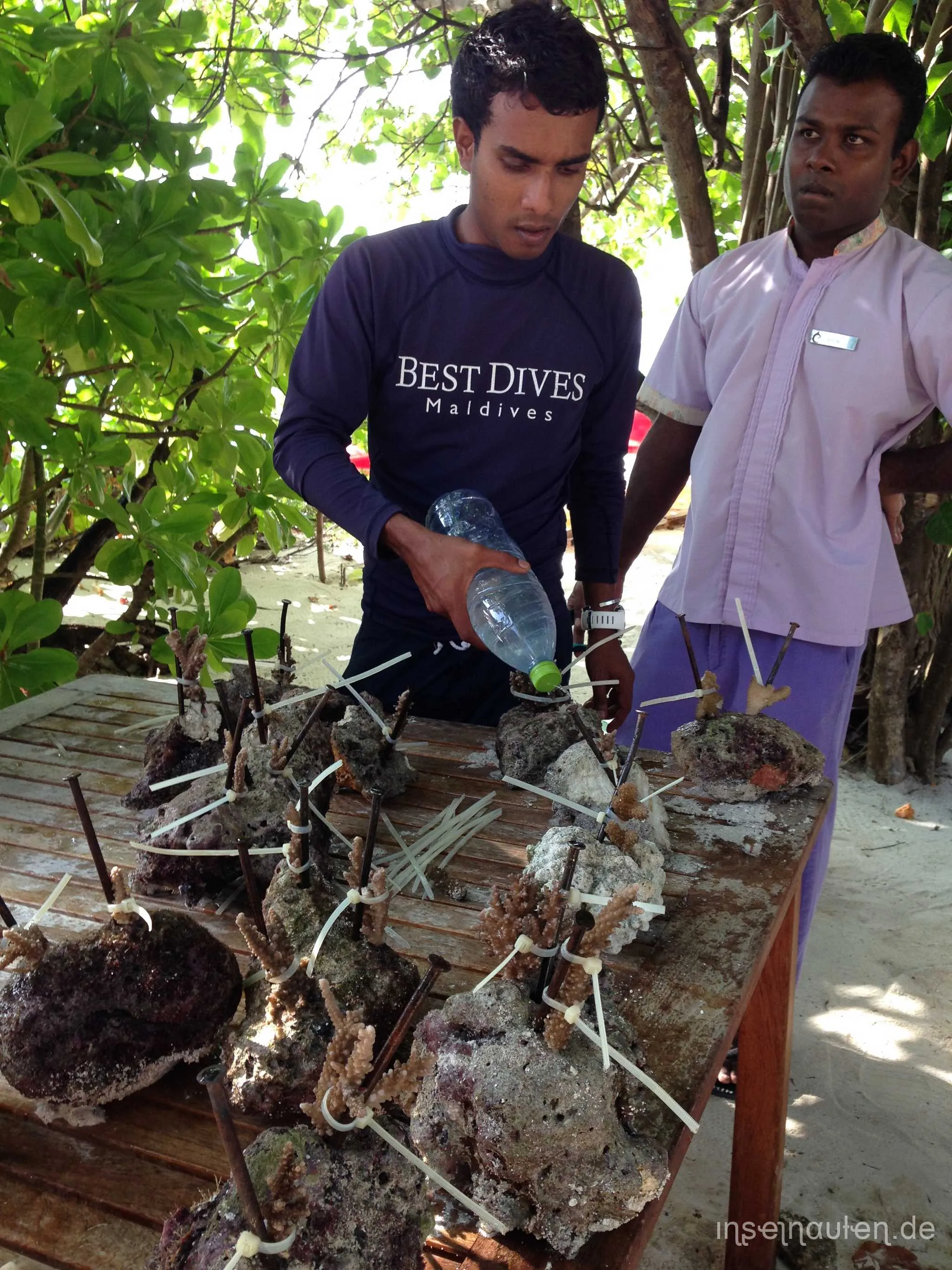 Coral Doctors, Malediven