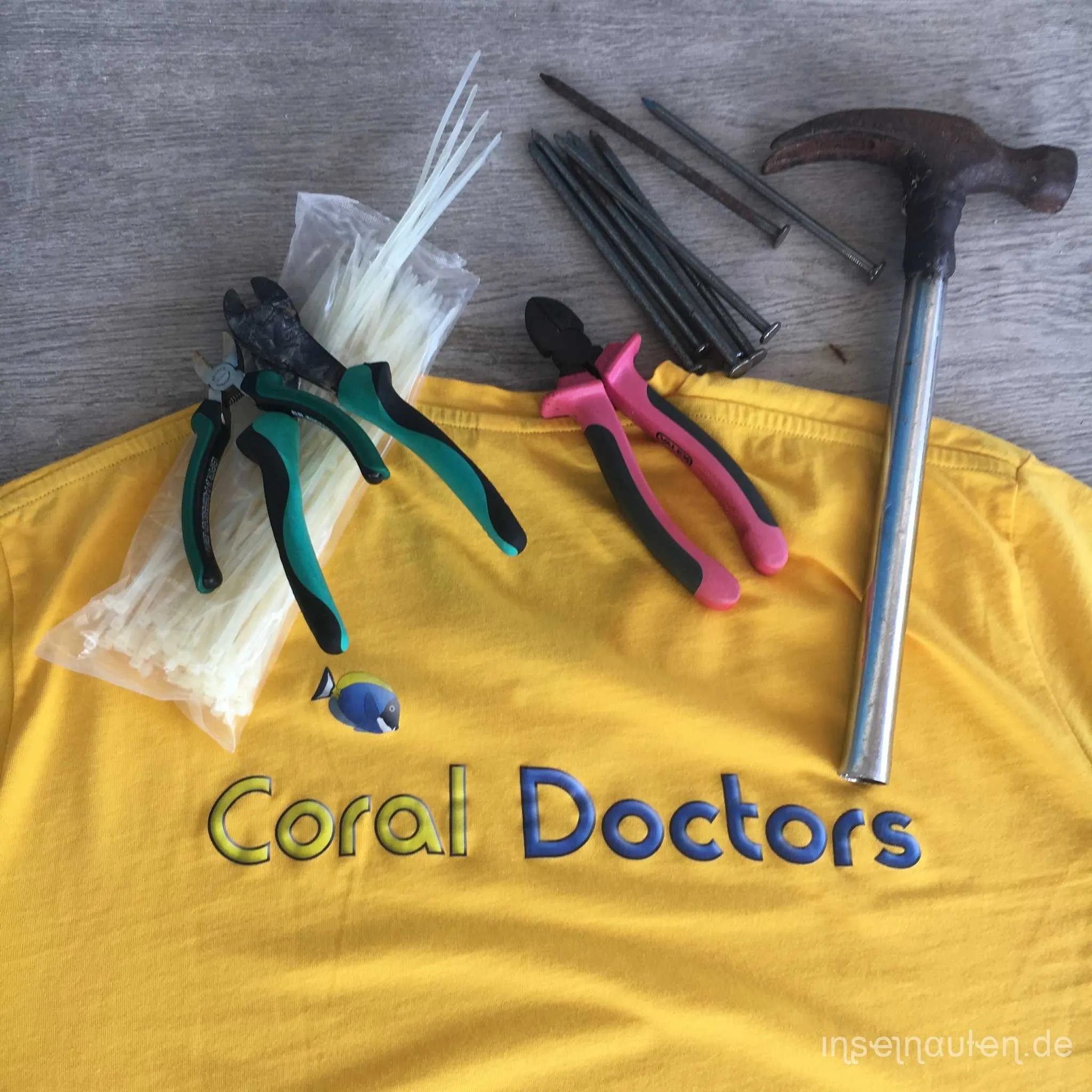 Coral Doctors, Malediven