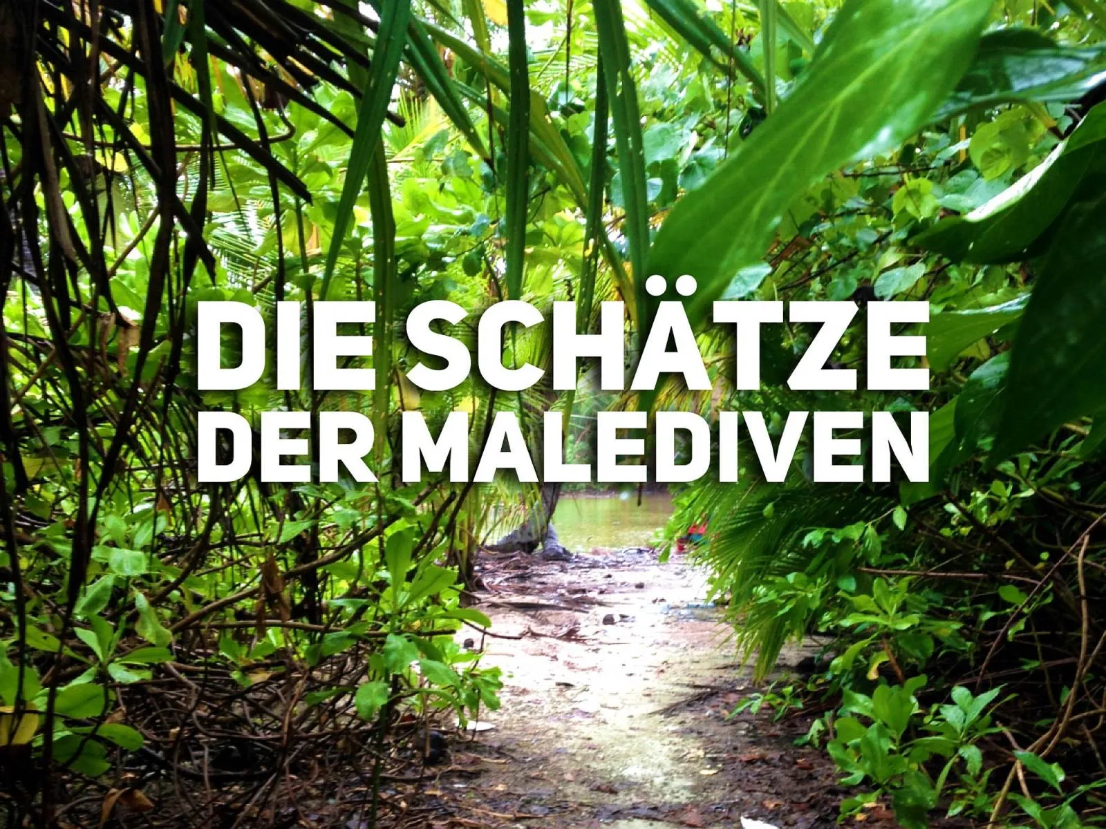 Die Schätze der Malediven