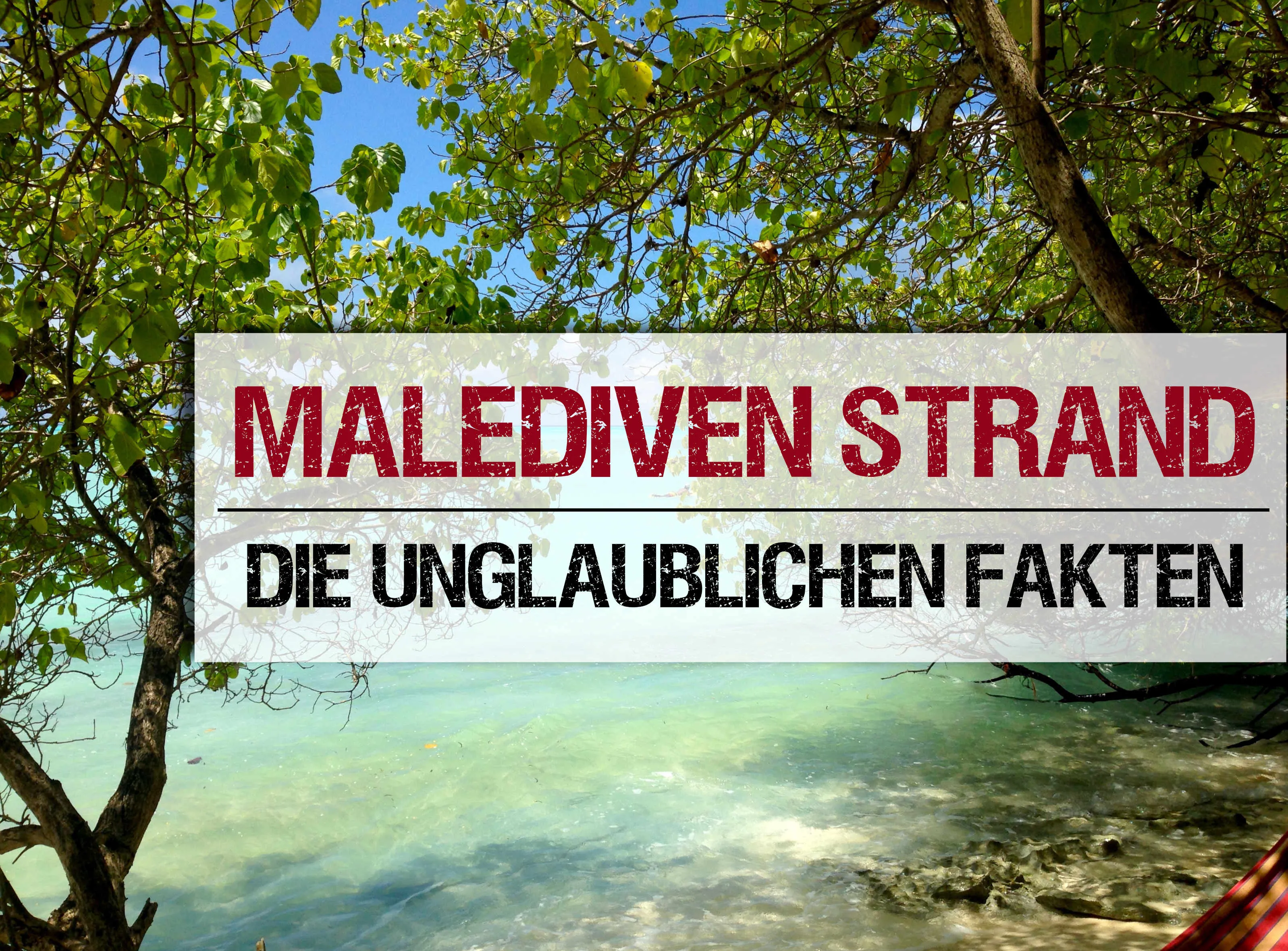 Was die Strände auf den Malediven so unwiderstehlich macht